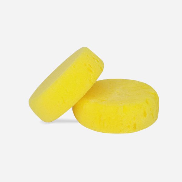 Esponja