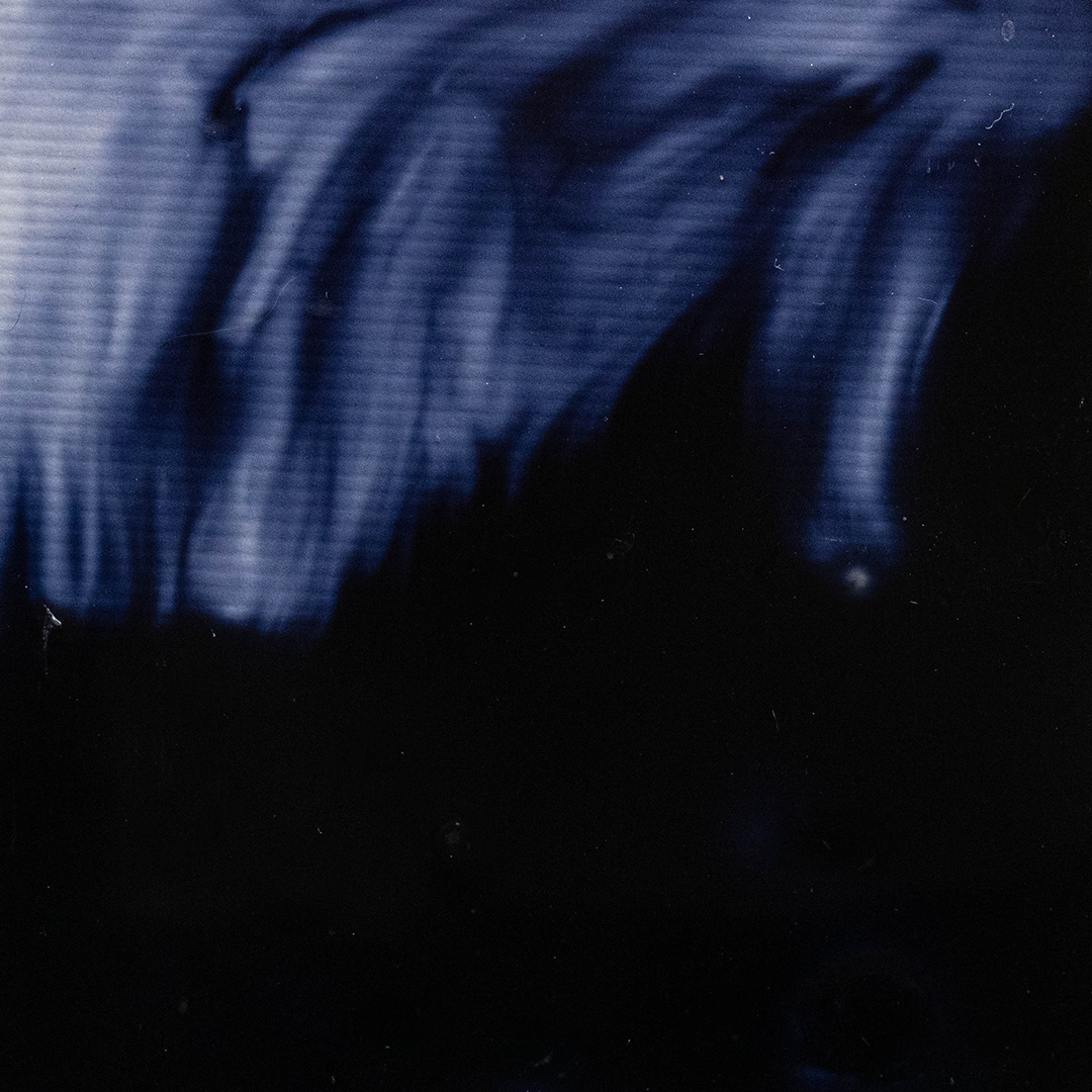 Vitral Negro