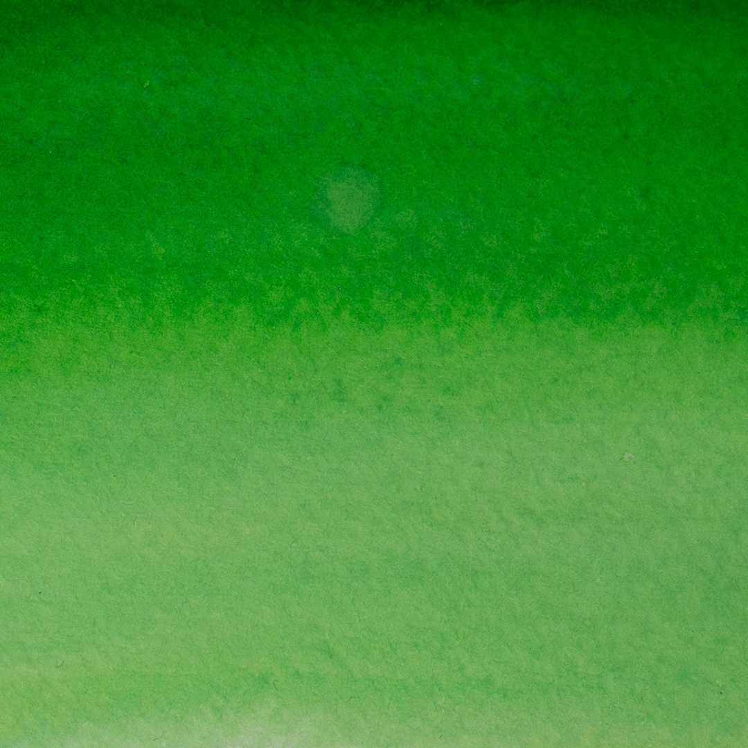 Ecolin Verde Bosque